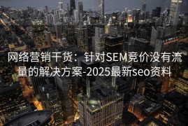 网络营销干货：针对SEM竞价没有流量的解决方案-2025最新seo资料