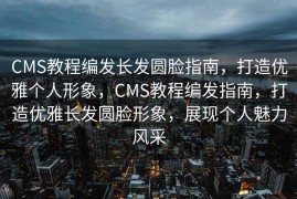 CMS教程编发长发圆脸指南，打造优雅个人形象，CMS教程编发指南，打造优雅长发圆脸形象，展现个人魅力风采