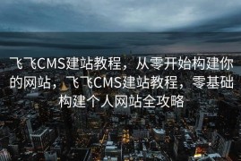 飞飞CMS建站教程，从零开始构建你的网站，飞飞CMS建站教程，零基础构建个人网站全攻略