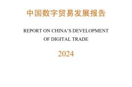 商务部：2024年中国数字贸易发展报告-2025最新seo资料