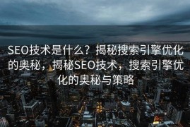 SEO技术是什么？揭秘搜索引擎优化的奥秘，揭秘SEO技术，搜索引擎优化的奥秘与策略