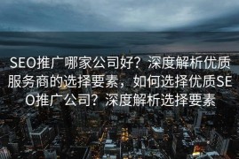 SEO推广哪家公司好？深度解析优质服务商的选择要素，如何选择优质SEO推广公司？深度解析选择要素