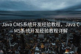 Java CMS系统开发经验教程，Java CMS系统开发经验教程详解