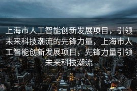 上海市人工智能创新发展项目，引领未来科技潮流的先锋力量，上海市人工智能创新发展项目，先锋力量引领未来科技潮流