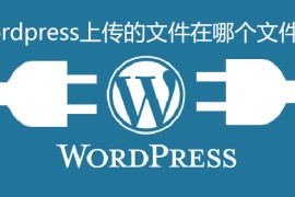wordpress上传的文件在哪个文件夹