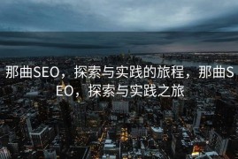 那曲SEO，探索与实践的旅程，那曲SEO，探索与实践之旅