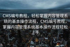 CMS编号教程，轻松掌握内容管理系统的基本操作流程，CMS编号教程，掌握内容管理系统基本操作流程轻松上手