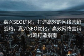 嘉兴SEO优化，打造高效的网络营销战略，嘉兴SEO优化，高效网络营销战略打造指南