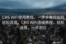 CMS WiFi使用教程，一步步教你如何轻松连接，CMS WiFi连接教程，轻松连接，一步到位