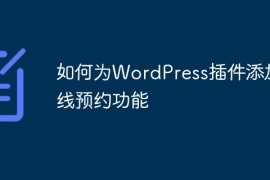 如何为WordPress插件添加在线预约功能