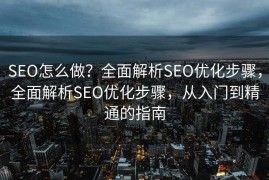 SEO怎么做？全面解析SEO优化步骤，全面解析SEO优化步骤，从入门到精通的指南