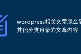 wordpress相关文章怎么显示其他分类目录的文章内容