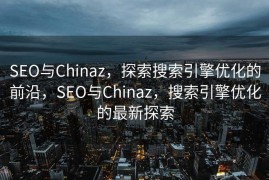SEO与Chinaz，探索搜索引擎优化的前沿，SEO与Chinaz，搜索引擎优化的最新探索