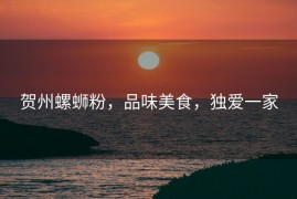 贺州螺蛳粉，品味美食，独爱一家