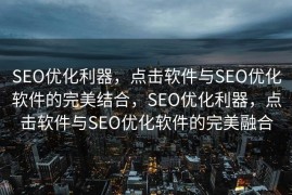 SEO优化利器，点击软件与SEO优化软件的完美结合，SEO优化利器，点击软件与SEO优化软件的完美融合