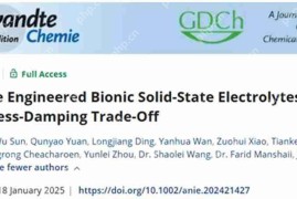 复旦大学赵婕课题组开发多尺度工程仿生固态电解质，打破刚度-阻尼权衡