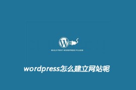 wordpress怎么建立网站呢