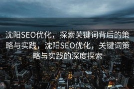 沈阳SEO优化，探索关键词背后的策略与实践，沈阳SEO优化，关键词策略与实践的深度探索