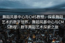 舞蹈风暴中心与CMS教程，探索舞蹈艺术的数字世界，舞蹈风暴中心与CMS教程，数字舞蹈艺术探索之旅