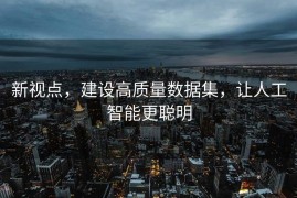 新视点，建设高质量数据集，让人工智能更聪明