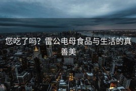 您吃了吗？雷公电母食品与生活的真善美