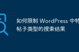 如何限制 WordPress 中特定帖子类型的搜索结果