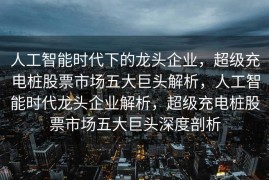 人工智能时代下的龙头企业，超级充电桩股票市场五大巨头解析，人工智能时代龙头企业解析，超级充电桩股票市场五大巨头深度剖析