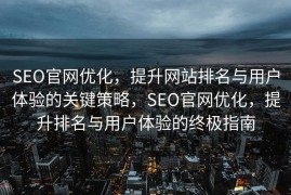 SEO官网优化，提升网站排名与用户体验的关键策略，SEO官网优化，提升排名与用户体验的终极指南