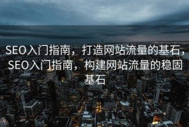 SEO入门指南，打造网站流量的基石，SEO入门指南，构建网站流量的稳固基石