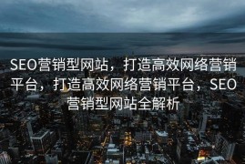 SEO营销型网站，打造高效网络营销平台，打造高效网络营销平台，SEO营销型网站全解析