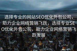选择专业的网站SEO优化外包公司，助力企业网络营销飞跃，选择专业SEO优化外包公司，助力企业网络营销飞跃发展