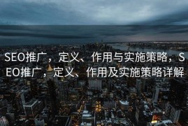SEO推广，定义、作用与实施策略，SEO推广，定义、作用及实施策略详解