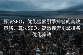 算法SEO，优化搜索引擎排名的高效策略，算法SEO，高效搜索引擎排名优化策略