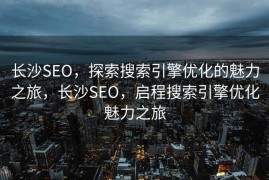 长沙SEO，探索搜索引擎优化的魅力之旅，长沙SEO，启程搜索引擎优化魅力之旅