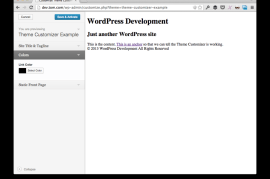 增强您的 WordPress 主题：使用主题定制器引入全新设置