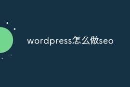 wordpress怎么做seo