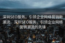 深圳SEO服务，引领企业网络营销新潮流，深圳SEO服务，引领企业网络营销潮流的先锋