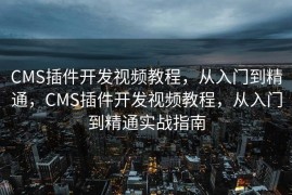CMS插件开发视频教程，从入门到精通，CMS插件开发视频教程，从入门到精通实战指南