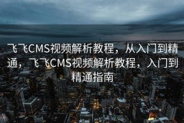 飞飞CMS视频解析教程，从入门到精通，飞飞CMS视频解析教程，入门到精通指南