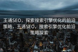 王通SEO，探索搜索引擎优化的前沿策略，王通SEO，搜索引擎优化前沿策略探索