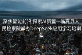 聚焦智能前沿 探索AI新篇—临夏县人民检察院举办DeepSeek应用学习培训会