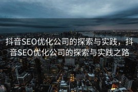 抖音SEO优化公司的探索与实践，抖音SEO优化公司的探索与实践之路