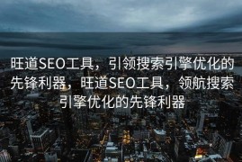 旺道SEO工具，引领搜索引擎优化的先锋利器，旺道SEO工具，领航搜索引擎优化的先锋利器