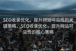 SEO收录优化，提升网站可见性的关键策略，SEO收录优化，提升网站可见性的核心策略