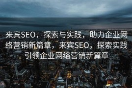 来宾SEO，探索与实践，助力企业网络营销新篇章，来宾SEO，探索实践引领企业网络营销新篇章