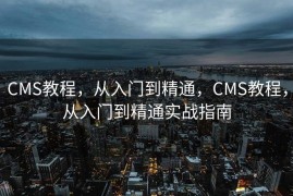 CMS教程，从入门到精通，CMS教程，从入门到精通实战指南