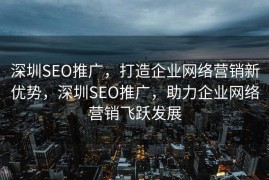深圳SEO推广，打造企业网络营销新优势，深圳SEO推广，助力企业网络营销飞跃发展