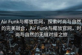 Air Funk与椰放官网，探索时尚与自然的完美融合，Air Funk与椰放官网，时尚与自然的无缝对接之旅