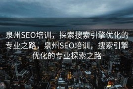 泉州SEO培训，探索搜索引擎优化的专业之路，泉州SEO培训，搜索引擎优化的专业探索之路
