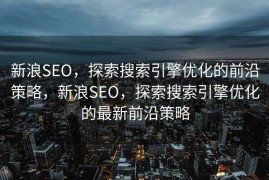 新浪SEO，探索搜索引擎优化的前沿策略，新浪SEO，探索搜索引擎优化的最新前沿策略